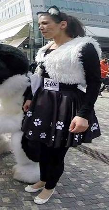 ouška Felix, patern sukýnky