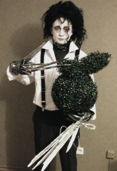 líčení a maska EDWARD