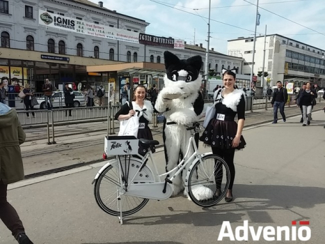 ouška Felix, patern sukýnky